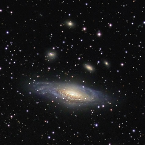 The Deer Lick Galaxy Group