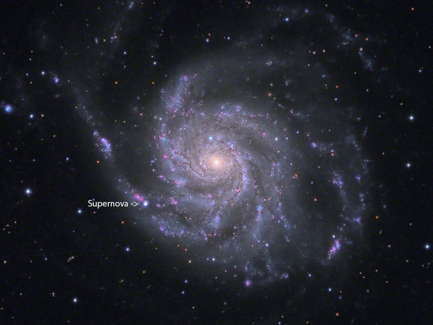 Supernova SN 2023ixf in M101