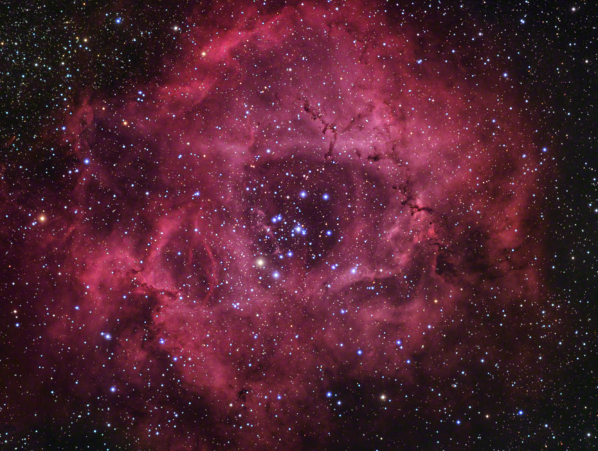 Rosette Nebula