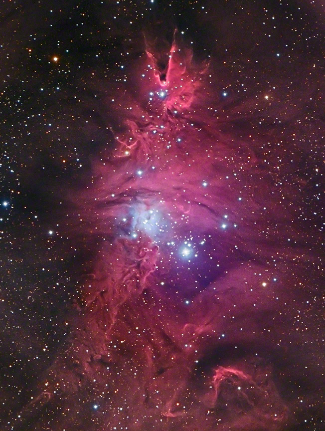 the Cone Nebula and Christmas Tree Cluster